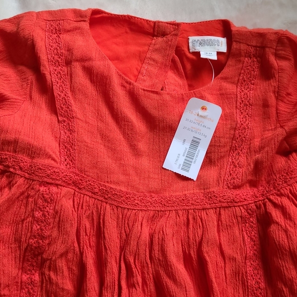 Gymboree Baby Dress - Picture 7 of 7